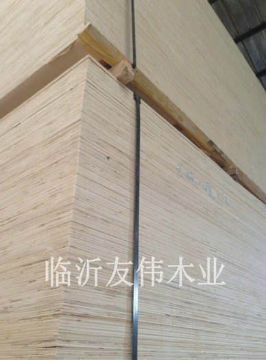異形托盤板不可貌相，發(fā)展前景不可限量